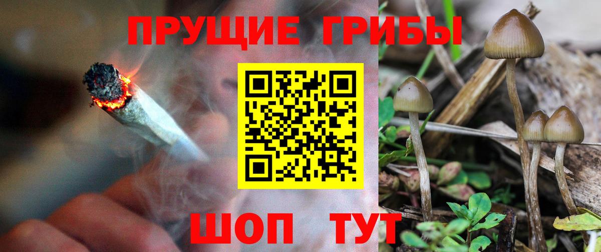 Медногорск  Галлюциногенные грибы Magic Shrooms  Псилоцибиновые грибы MAGIC MUSHROOMS  Вход с VPN 