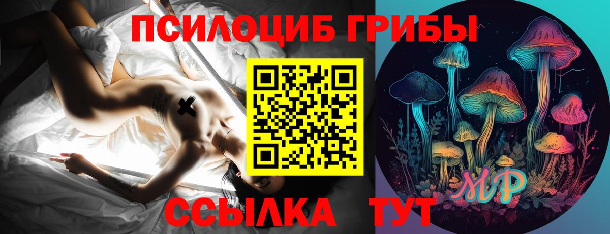 Галлюциногенные грибы Psilocybine cubensis Медногорск